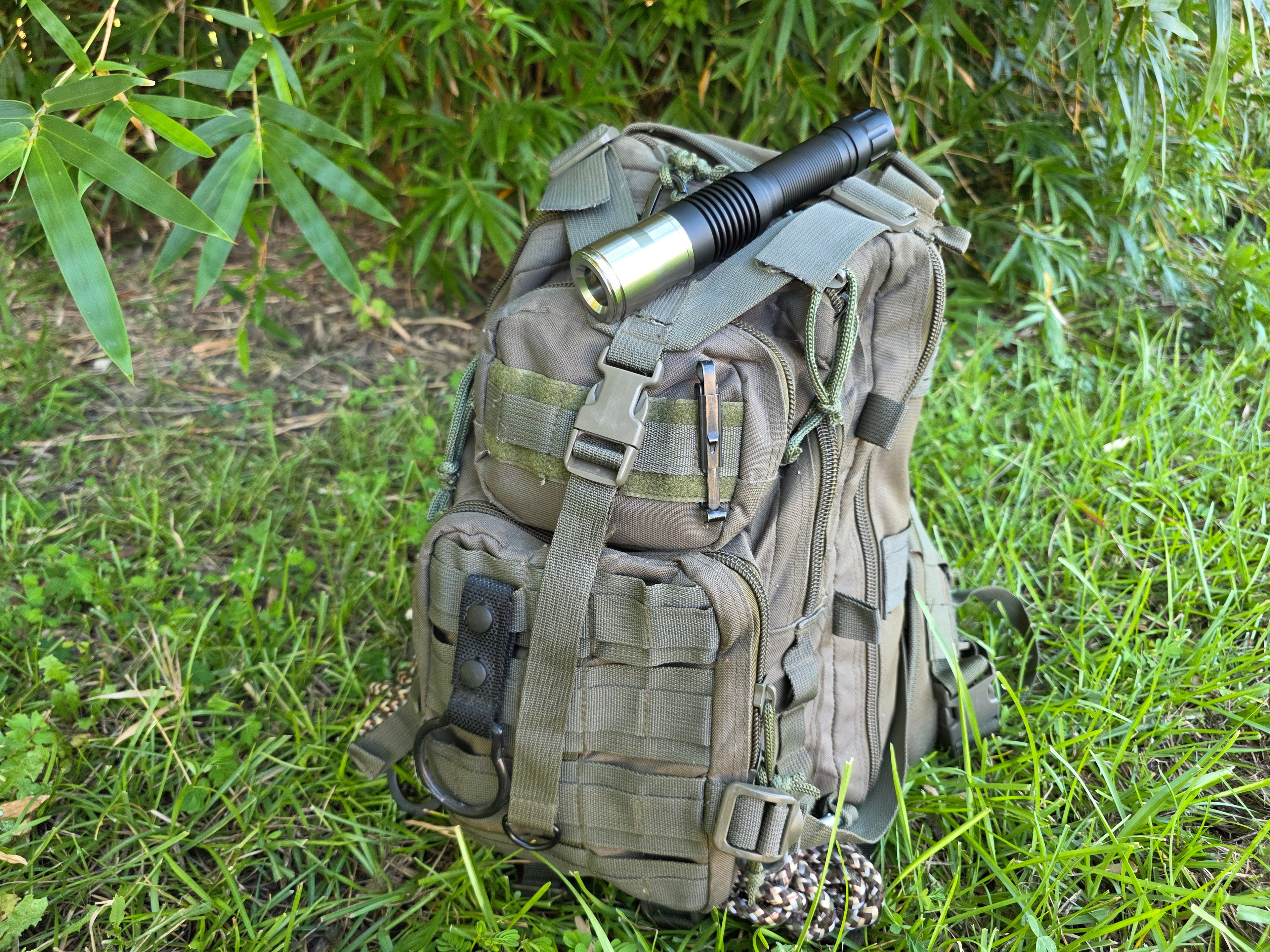 The Green Guerilla