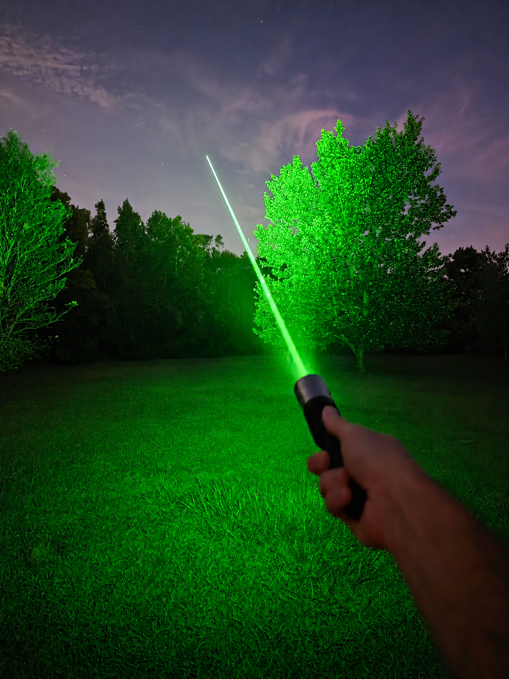 The Green Guerilla